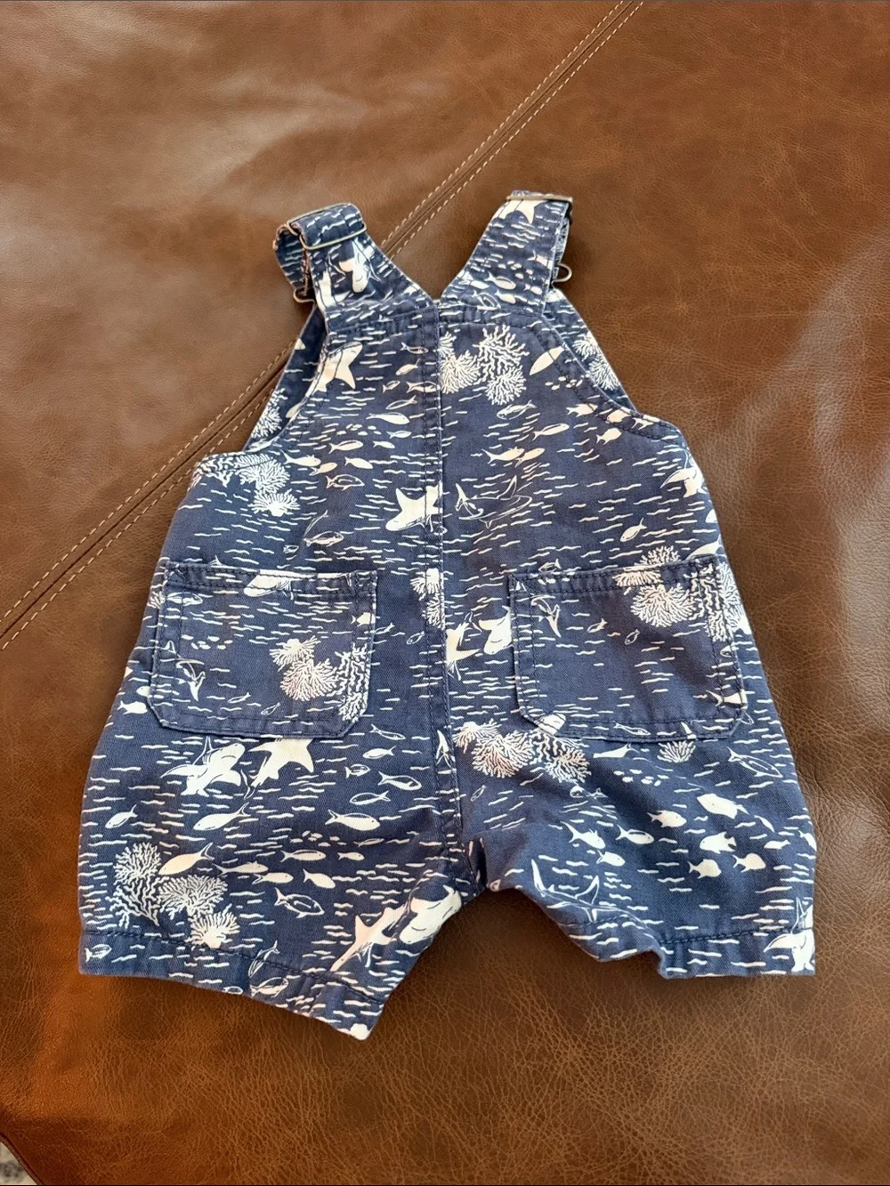 Carters carter shortalls